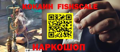 гидра Будённовск