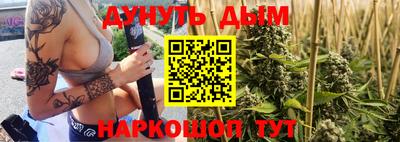 гидра Будённовск