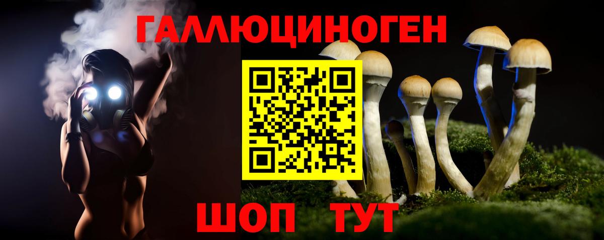 Псилоцибиновые грибы прущие грибы  Вход с VPN  Малгобек 