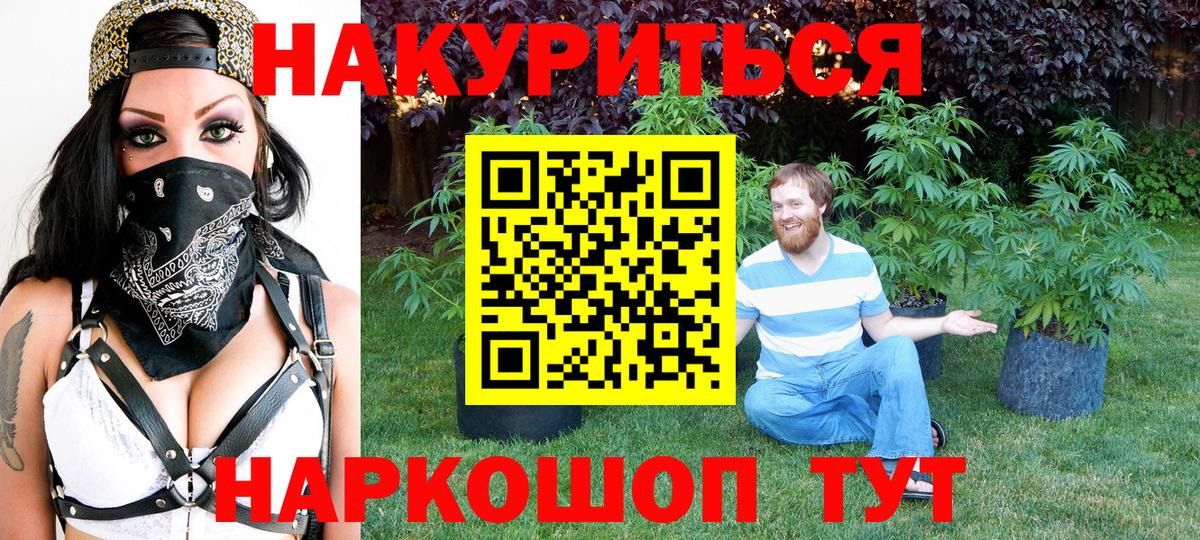 Каннабис план  Конопля THC 21%  Марихуана конопля  Вход с VPN  Малгобек 